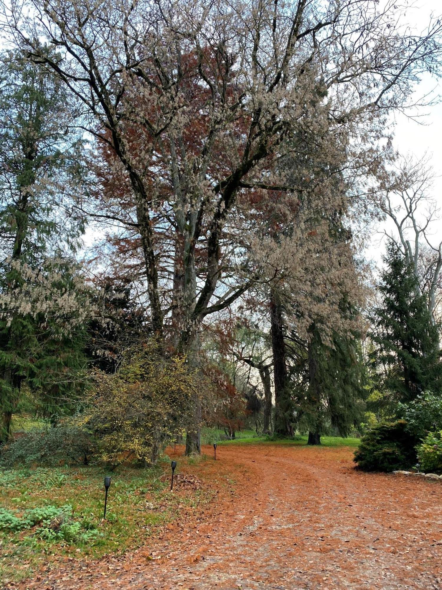 Bed and Breakfast Le Domaine De Moroges Екстер'єр фото