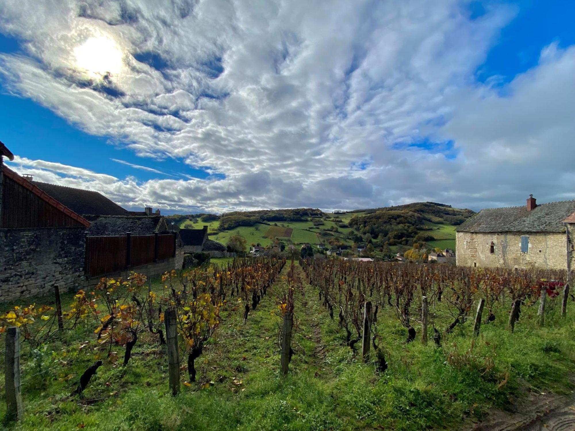 Bed and Breakfast Le Domaine De Moroges Екстер'єр фото