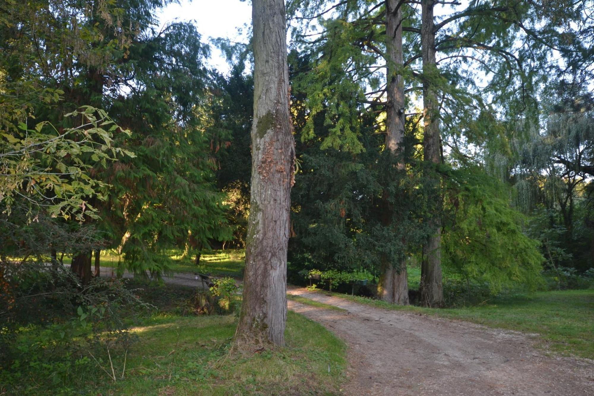 Bed and Breakfast Le Domaine De Moroges Екстер'єр фото